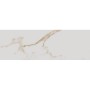 Плитка EC.CASABLANCA GOLD-CERAMICA DESEO