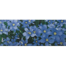 Плитка Yalta Flower BL