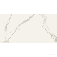 Плитка Керамогранит Almera Ceramica Carrara GQW8321M MAT
