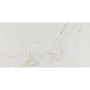 Плитка Керамогранит ALMERA CERAMICA (SPAIN) ALLURE NACAR