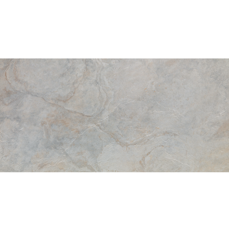 Плитка PORCELANOSA (VENIS) IMAGE SILVER 59,6X120(A)