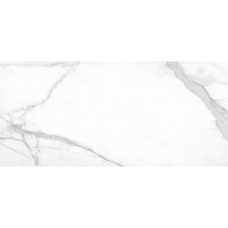 Плитка Керамогранит Argenta Ceramica Tholos White Polished