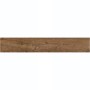 Плитка Керамограніт Argenta Ceramica Arwood TEMPO 20х120