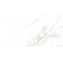 Плитка PERONDA TORANO GOLD NT/75,5х151/R