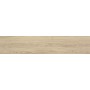 Плитка Керамогранит Almera Ceramica NINSBA BEIGE RECT