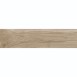 Плитка Керамограніт Argenta Ceramica Nolan ROBLE 30х120