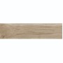 Плитка Керамограніт Argenta Ceramica Nolan ROBLE 30х120