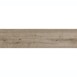 Плитка Керамограніт Argenta Ceramica Nolan TAUPE 30х120