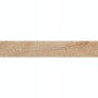 Плитка Керамограніт Argenta Ceramica Arwood BONNET 20х120