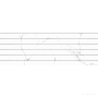Плитка Almera Ceramica Carrara CB309008 DEC