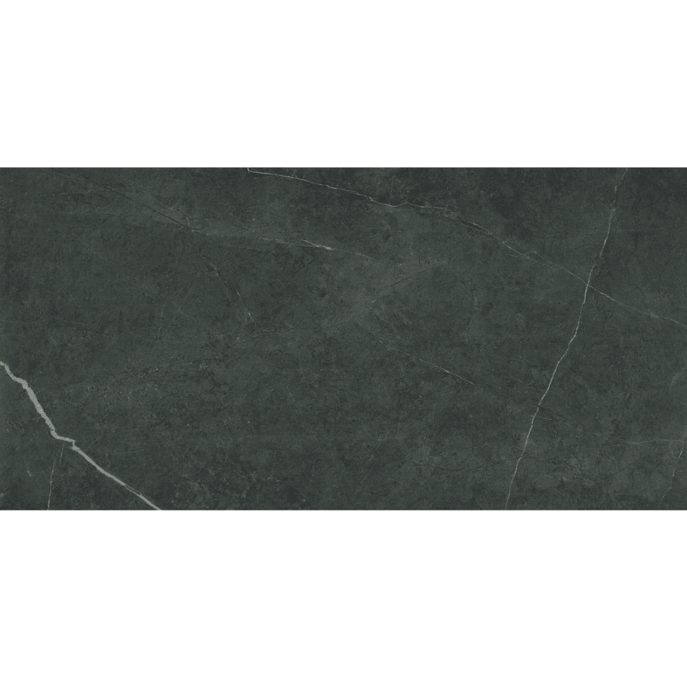 Плитка Керамограніт ALMERA CERAMICA (SPAIN) P.E. NORTHON TAUPE MT 60X120 RECT. 1A KTL (EURO 2 PZ Y 40 CJ)