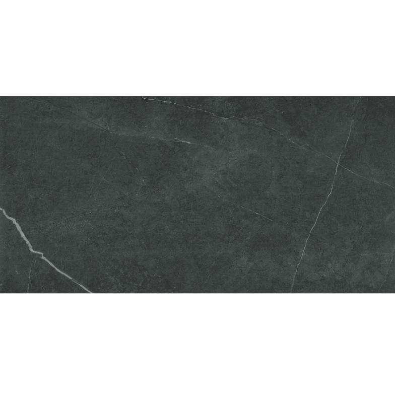 Плитка Керамограніт ALMERA CERAMICA (SPAIN) P.E. NORTHON TAUPE MT 60X120 RECT. 1A KTL (EURO 2 PZ Y 40 CJ)