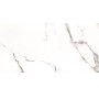 Плитка Керамогранит  Almera Ceramica YI918P560 STATUARIO MATT