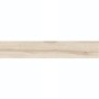 Плитка Керамограніт Argenta Ceramica ARWOOD ARIZ 20х120