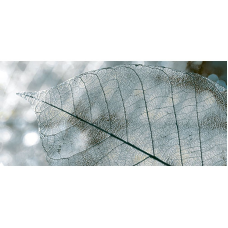 Плитка Декор Magia Gray 071 InterCerama    230x500    (456505)