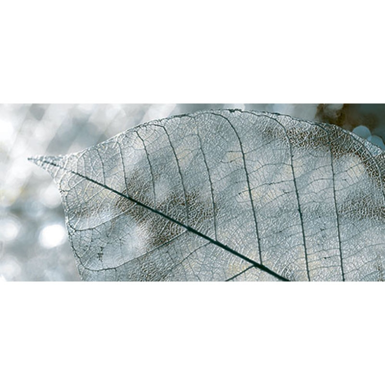 Плитка Декор Magia Gray 071 InterCerama    230x500    (456505)