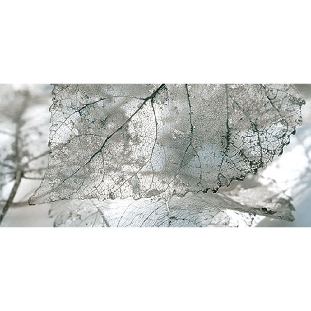 Плитка Декор Magia Gray 071-1 InterCerama    230x500    (456506) Плитка Декор Magia Gray 071-1 InterCerama    230x500    (456506)