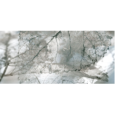 Плитка Декор Magia Gray 071-1 InterCerama    230x500    (456506)