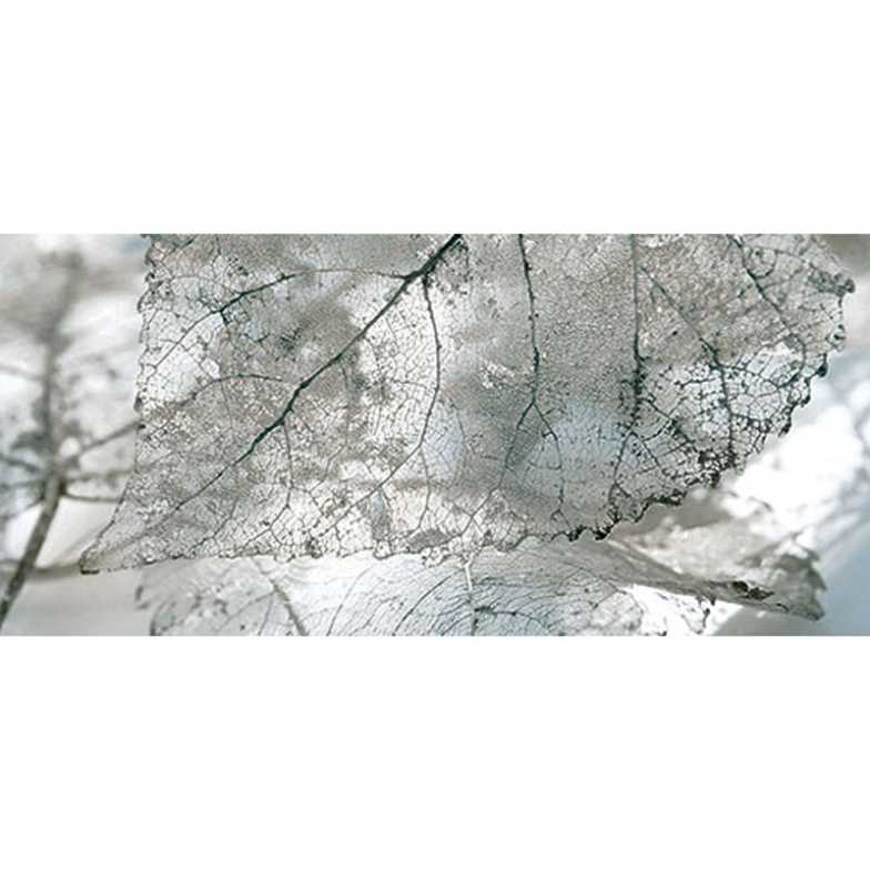 Плитка Декор Magia Gray 071-1 InterCerama    230x500    (456506)