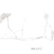 Плитка Керамограніт Allore Group Sicilia White F P Mat Rec 60*120 см білий