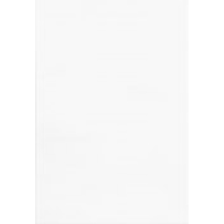 Плитка Mono W 25*40