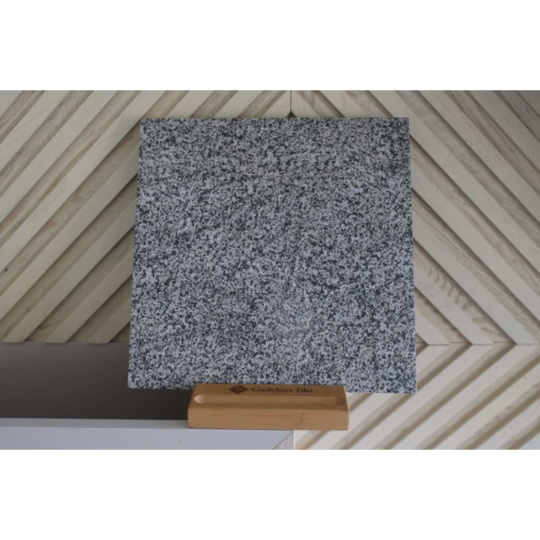 Плитка Granit світло-сірий 300х300х7