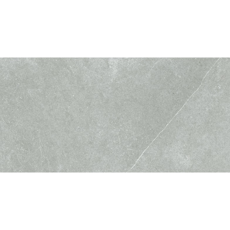 Плитка Essential сірий 1200x600x8