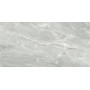 Плитка Silver Roots сірий 1200х600х8