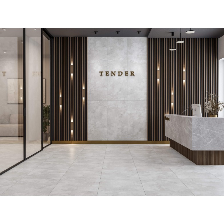 Плитка Tender світло-сірий 1200х600х8