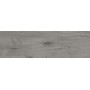 Плитка Wellwood сірий 200x650x7
