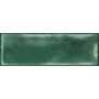 Плитка Vintage зелений 100x300