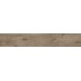 Плитка керамогранітна Alpina Wood коричневий 198x1198x10 Golden Tile
