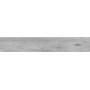 Плитка керамогранітна Alpina Wood світло-сірий RECT 198x1198x10 Golden Tile