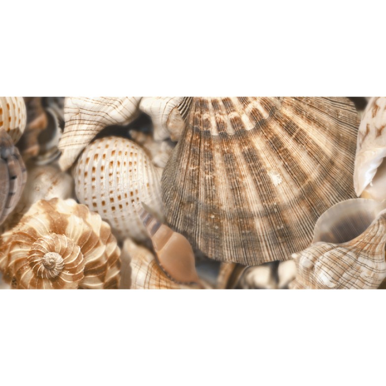 Декор Sea Breeze Shells Decore №3 300x600x9 Golden Tile