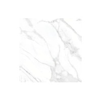 Плитка керамогранітна Arctic Сірий POL 600x600x8 InterGres