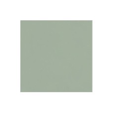 Плитка стінова Neve Creative Green 98x98x6,5 Paradyz