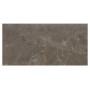 Плитка стінова Teneza Brown Glossy 297x600x9 Opoczno