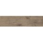 Плитка керамогранітна Alpina Wood коричневий 150x600x8,5 Golden Tile