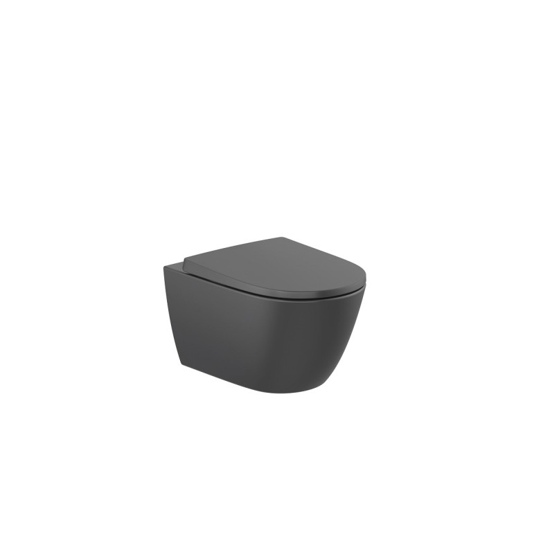 Кришка для унітаза Ona soft-close A801E12081 Roca