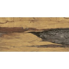 Плитка керамогранітна SGR139-1 Burningwood RECT 600x1200 Stargres