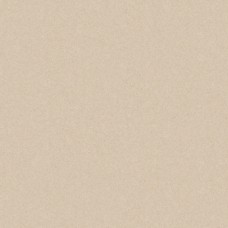 Плитка керамогранітна Monolight Beige RECT 597x597x9,5 Cerrad Плитка керамогранітна Monolight Beige RECT 597x597x9,5 Cerrad