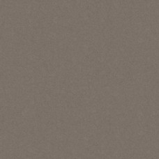 Плитка керамогранітна Monolight Brown RECT 597x597x9,5 Cerrad Плитка керамогранітна Monolight Brown RECT 597x597x9,5 Cerrad