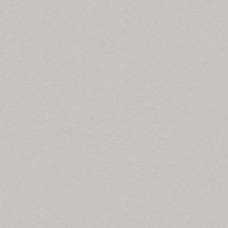 Плитка керамогранітна Monolight Grey RECT 597x597x9,5 Cerrad Плитка керамогранітна Monolight Grey RECT 597x597x9,5 Cerrad