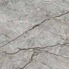 Плитка керамогранітна CM2580 Carisma Сірий RECT 600x600x8 Golden Tile