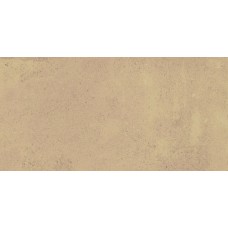 Плитка керамогранітна Argilla Mocca Light 300x600x8 Cerrad