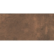 Плитка керамогранітна Argilla Walnut 300x600x8 Cerrad