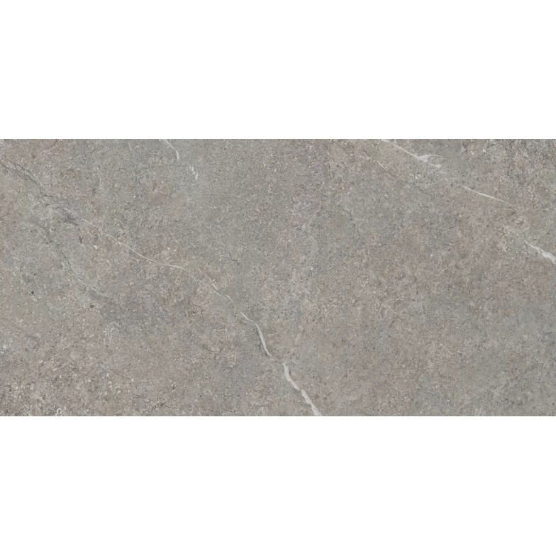Плитка керамогранітна Misty Rock Grey SZKL RECT MAT 598x1198x8 Paradyz