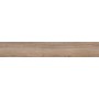 Плитка керамогранітна Tonella Beige RECT 193x1202x8 Cerrad