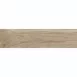 Плитка Керамограніт Argenta Ceramica Nolan ROBLE 30х120