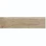 Плитка Керамограніт Argenta Ceramica Nolan ROBLE 30х120